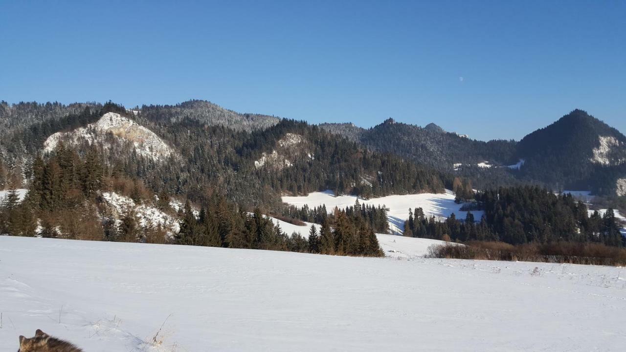 Pokoje U Pitera Sromowce Wyzne Kültér fotó